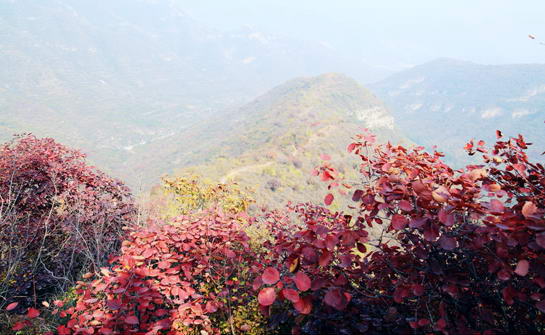 天门山自然风景区