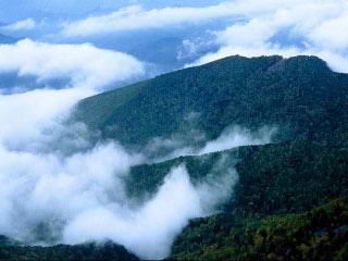 雾灵山自然保护区