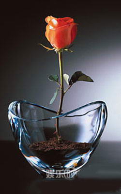 艺术玻璃打造美好家居情趣空间