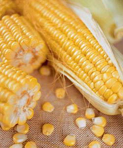 让胸部激增饱满的几种食物