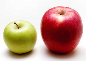 哪些水果不可以大量食用