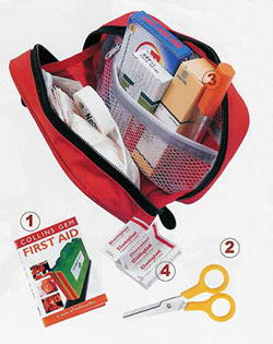 舒心享受：暑期出游九大细节需留心