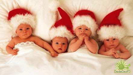 研究：婴儿六个月就会骗人