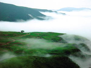相约京西最美的高山草原