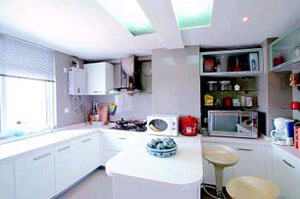 动感十足的厨房设计 生趣盎然居家环境