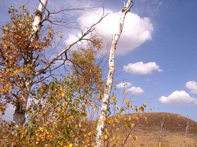 秋游不能不去的5个景区