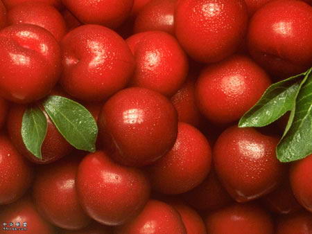 最利减肥10大进餐习惯