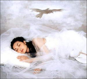 减肥瘦身七大绝秘黄金段