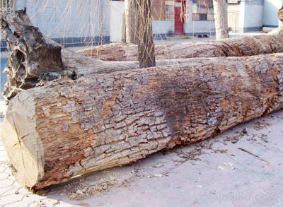 点击查看下一页