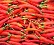 辣椒止痛比麻药更有效