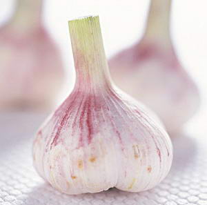 葱蒜可延缓大脑衰老