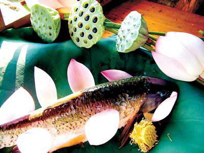 家庭蒸鱼的七种方法