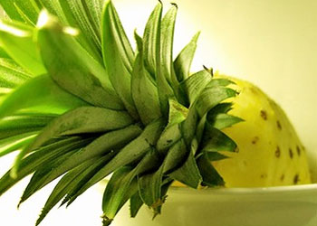 食用新鲜菠萝可治疗便秘