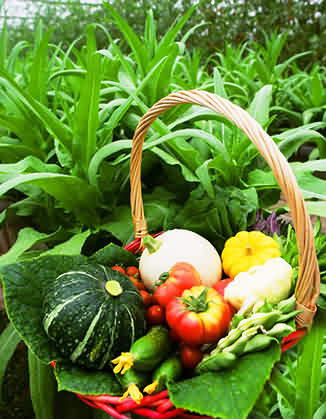 食疗清火六种简单方法