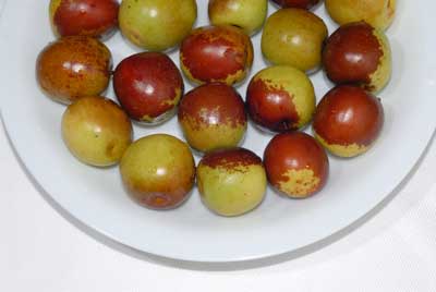 冬季三类美食火气很旺