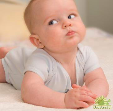 给宝宝喂米糊还是喂粥？(图)