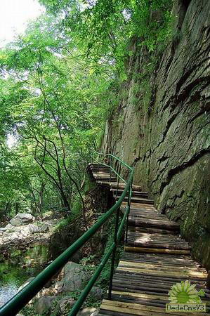 逃避夏天，去12大名山避暑