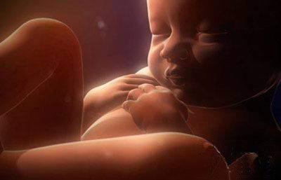 胎儿在妈妈子宫内的睡姿(图)