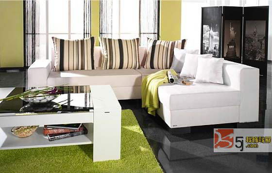 装饰是美化家居的真正主角 (组图)