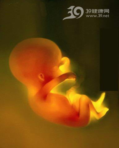 孕期应留心胎儿的求救信号(图)