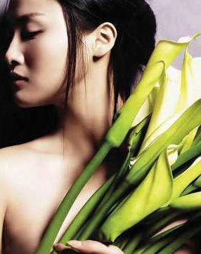 警惕：这些人不适合用芦荟护肤(图)