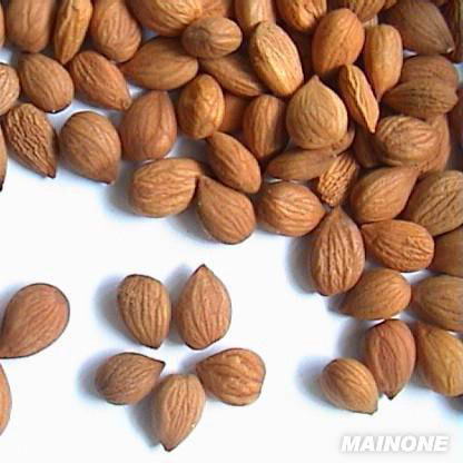 塑造男人强健肌肉的食物