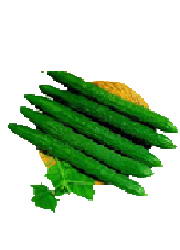 健康快速 7种最有效的懒人减肥法(组图)