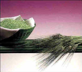 12种食物有益男性健康