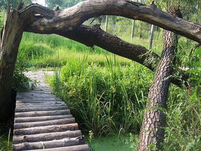 北京四大特色湿地公园推荐(图)