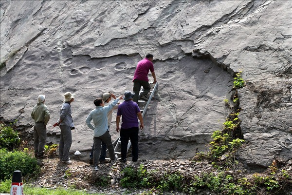 北京在延庆首次发现“恐龙脚印”