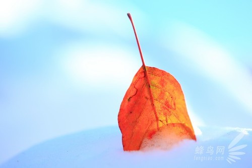 北京10大雪景最佳拍摄地推荐-京城雪后景点照片