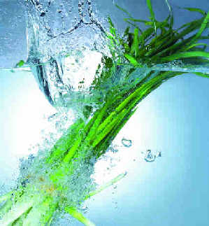 春季最好多吃3种蔬菜