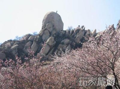 其他推荐赏花地：八达岭长城