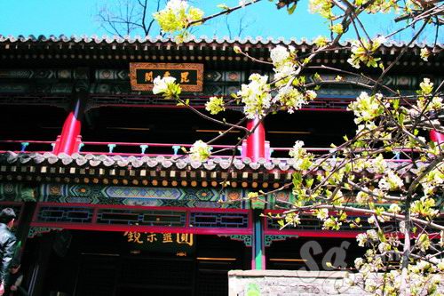 春日休闲清净游 京城古寺避尘嚣