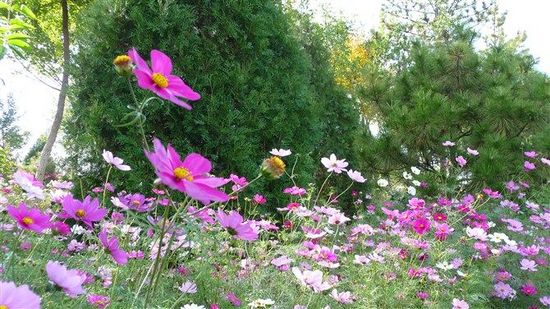 北京能放风筝的地方