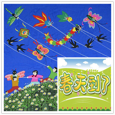 北京能放风筝的地方