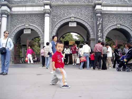 动物园服装批发市场