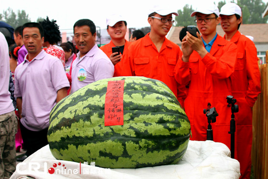 第25届北京市大兴西瓜节开幕