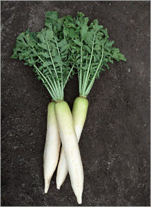 山药红豆萝卜18种排毒食物使毒素大清除