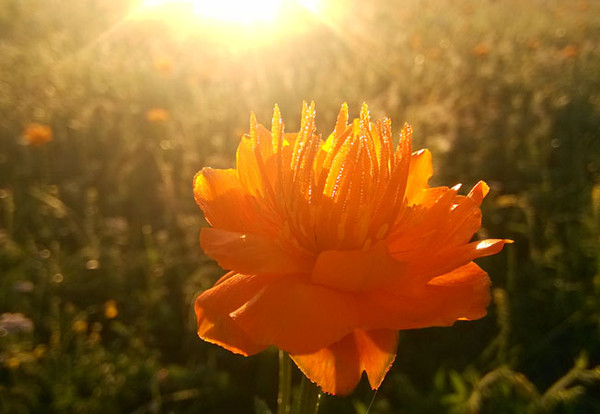 北京周边自驾游 木兰围场游玩全攻略 