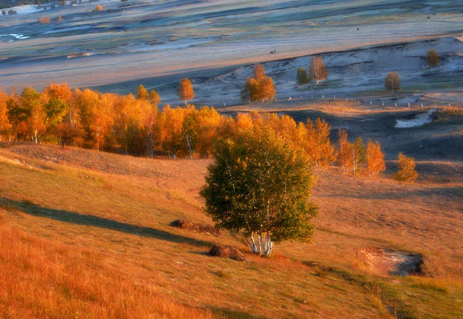 北京周边自驾游 木兰围场游玩全攻略 