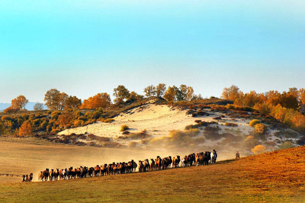 北京周边自驾游 木兰围场游玩全攻略 
