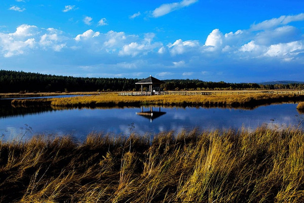 北京周边自驾游 木兰围场游玩全攻略 
