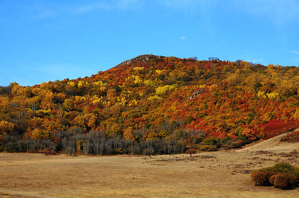 北京周边自驾游 木兰围场游玩全攻略 