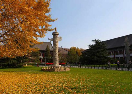 京城金秋赏银杏全攻略