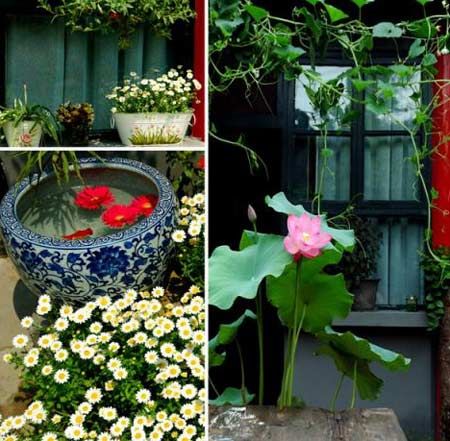 北京最有特色的八大青年旅舍 住宿新主张