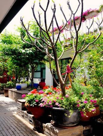 北京最有特色的八大青年旅舍 住宿新主张