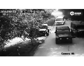 北京八达岭老虎咬人事件完整视频公布 园方称自己无责
