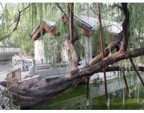 北京一日游攻略 第一次来北京就该这么玩