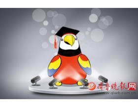 高校也玩IP：北京外国语大学有只“鹦鹉学长”